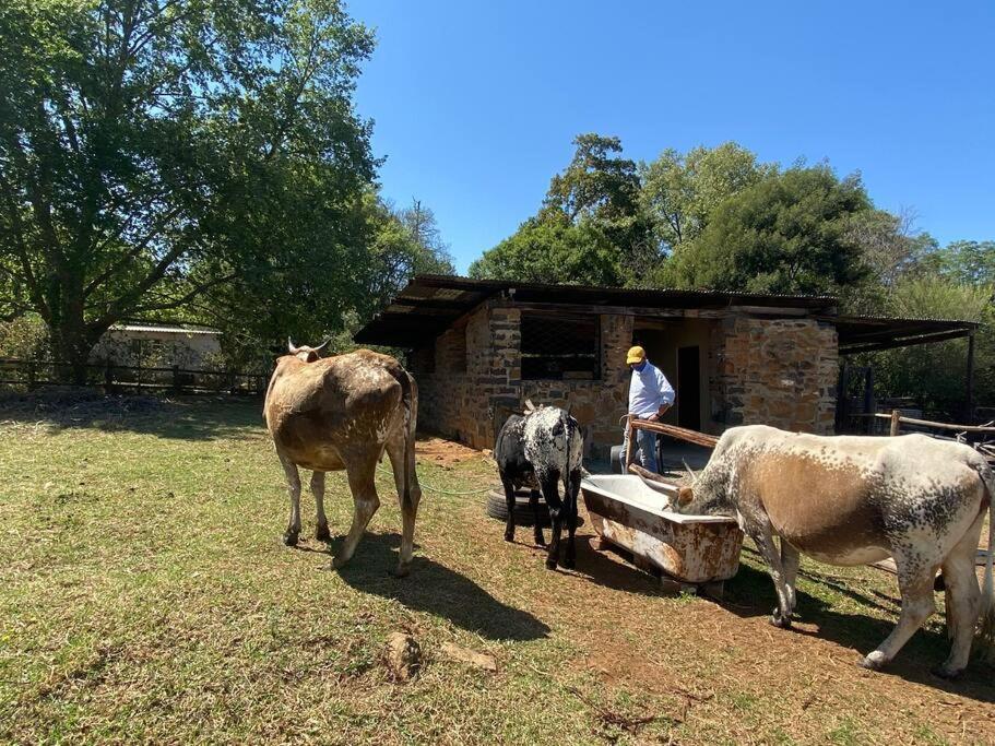 Yellowwoods Farm - Willoughbys Cottage And Old Stables Cottage Curryʼs Post Exterior foto